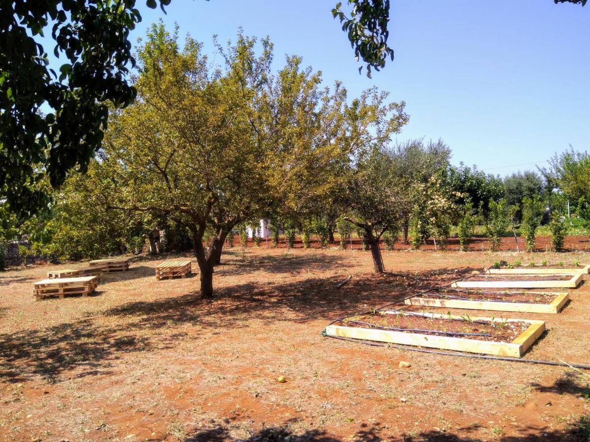 I Colmi - Trulli Suites Μαρτίνα Φράνκα Εξωτερικό φωτογραφία
